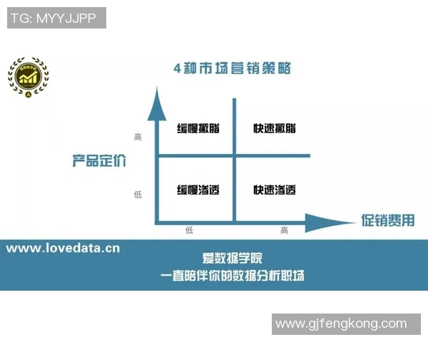 红桃国际用户行为分析报告及其对市场策略的影响研究 红桃国际用户行为分析报告及其对市场策略的影响研究