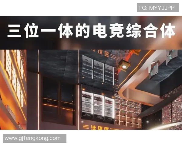 全球电竞治理新纪元:探讨建立国际电竞组织的必要性与面临的挑战 全球电竞治理新纪元:探讨建立国际电竞组织的必要性与面临的挑战