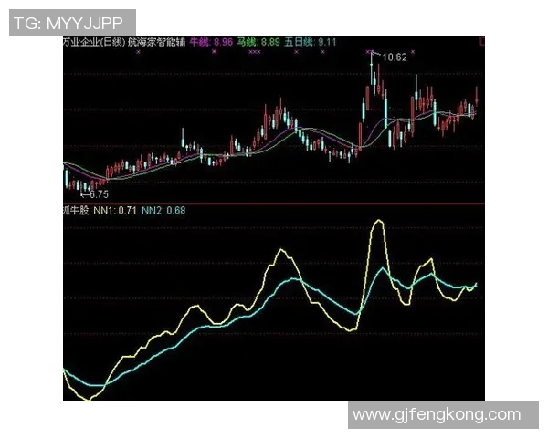 VAR介入统计：共进行XXX次干预成功推翻判罚XX次的详细分析
